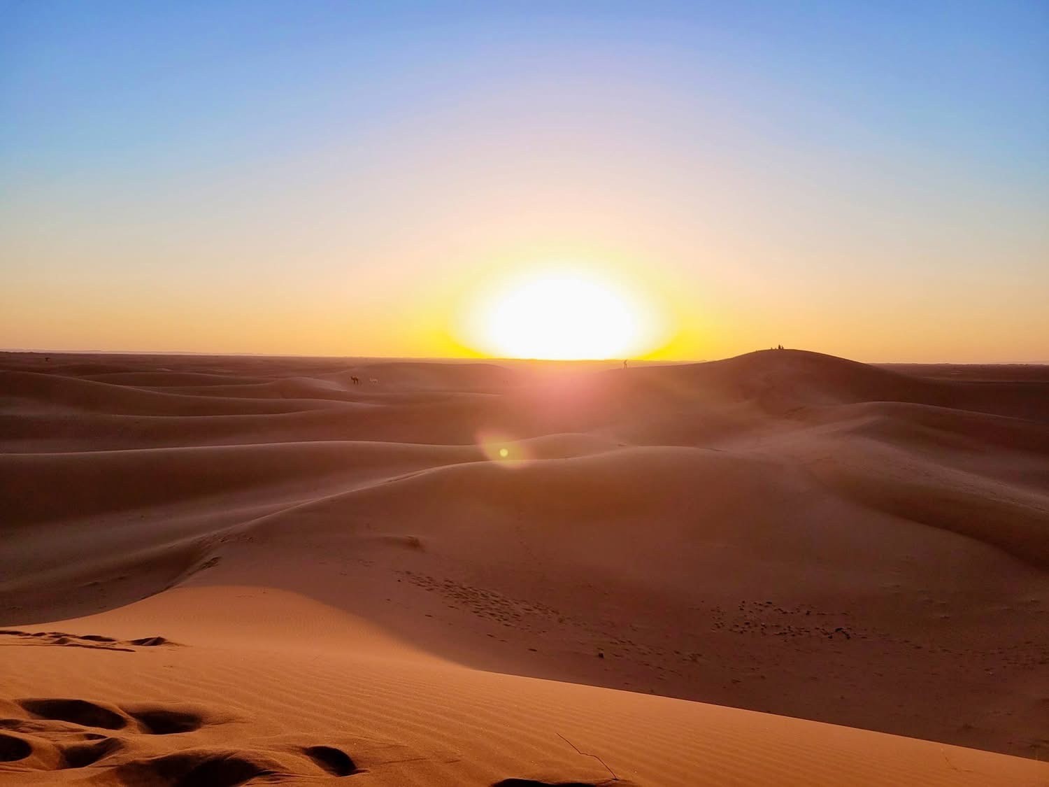 Souscrivez maintenant un contrat retraite, un contrat d’assurance vie ou un compte titres !